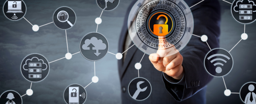 Why Businesses Need to Secure their Remote Access with Software