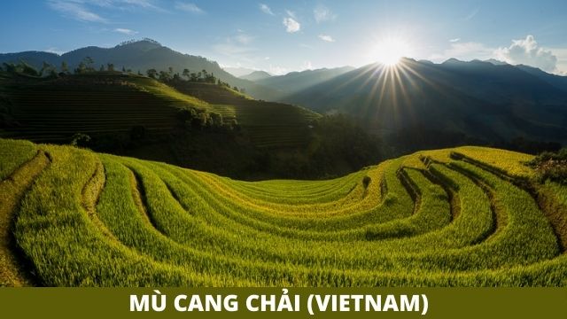MÃ¹ Cang Cháº£i (Vietnam)