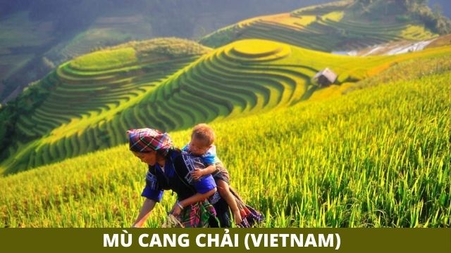 Mù Cang Chải (Vietnam)