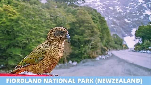 Fiordland National Park (NewZealand)